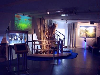 Dahner Felsenland, eine Ausstellung im Biosphärenhaus in Fischbach